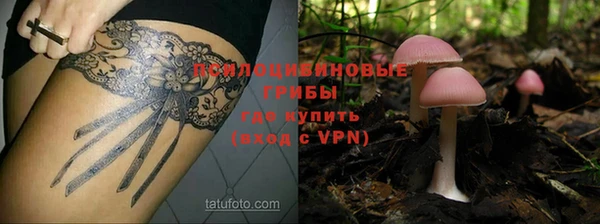 мескалин Алексин