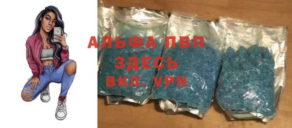 стаф Абаза