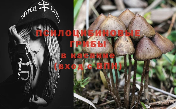стаф Абаза