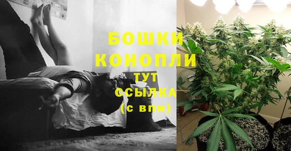 стаф Абаза